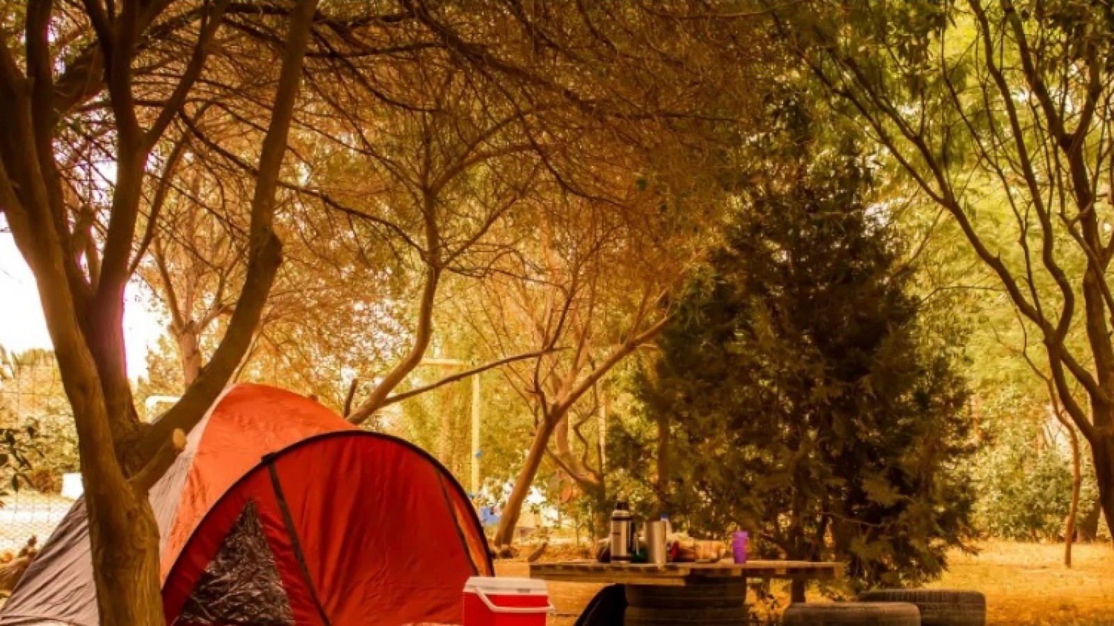 Vacaciones en Las Grutas: precios y comodidades en los campings